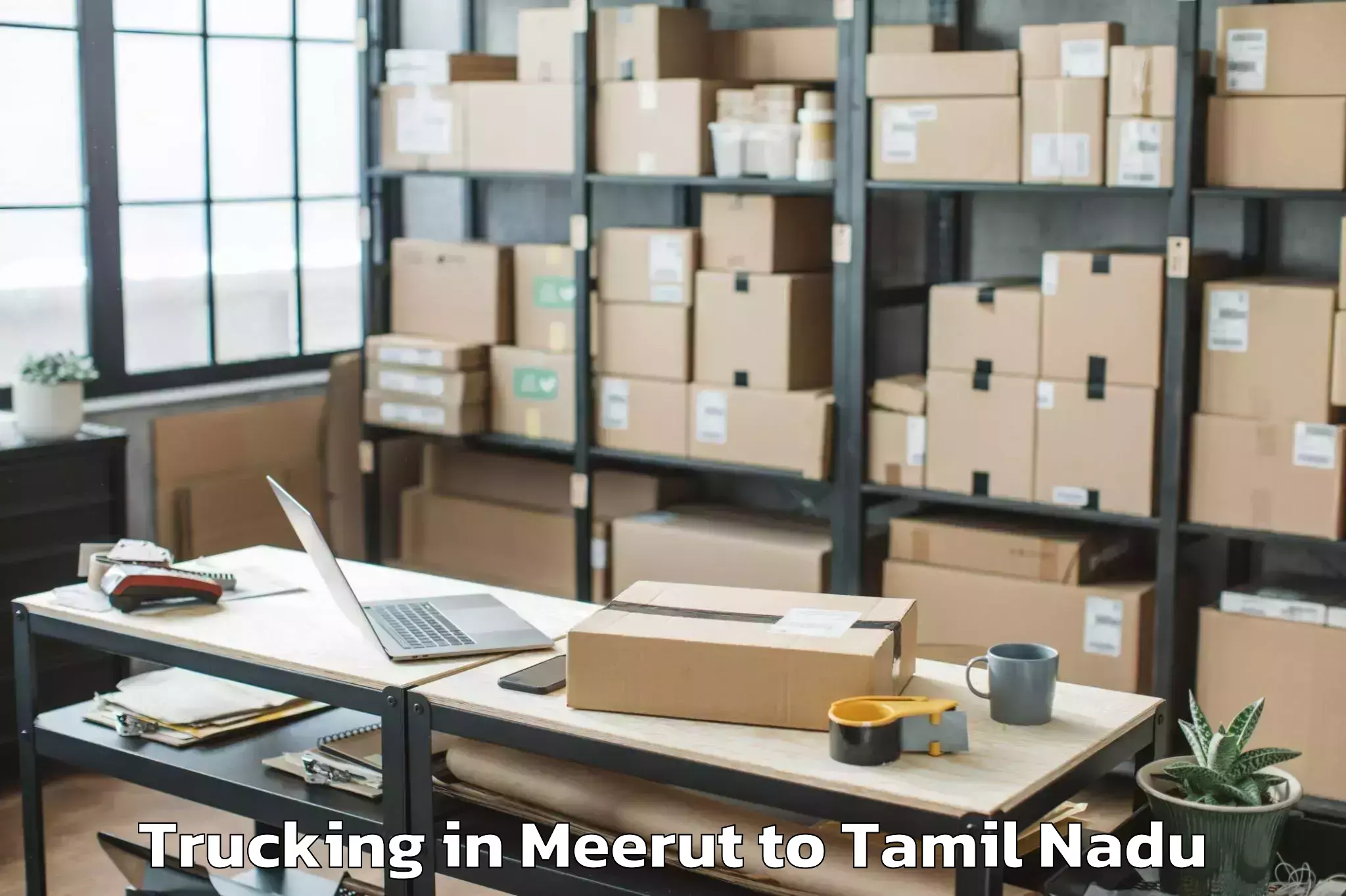 Book Meerut to Madurantakam Trucking Online